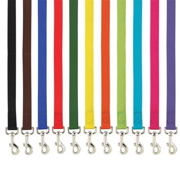 Casual Canine Casual Canine ZM2392 64 99 6 ft. x 0.62 in. Basic Nylon Dog Leash Lead; Yellow ZM2392 64 99 - main